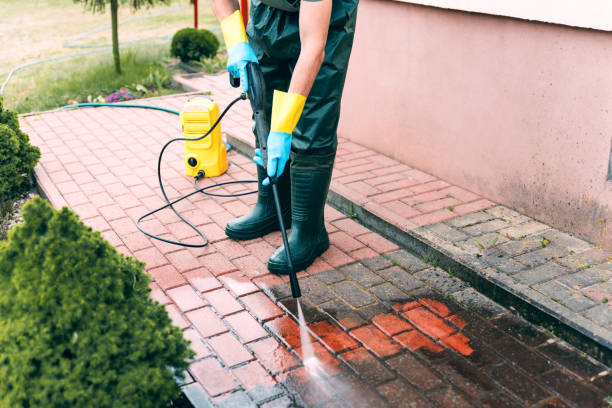 Best Gutter Cleaning  in Linden, NJ